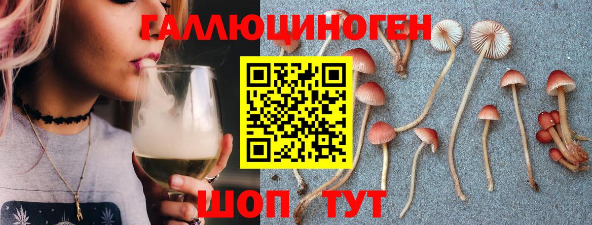 Псилоцибиновые грибы мицелий Лабытнанги